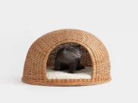قوانین جدید واردات غذای حیوانات