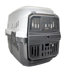 باکس سگ دنیل مدل پاریس